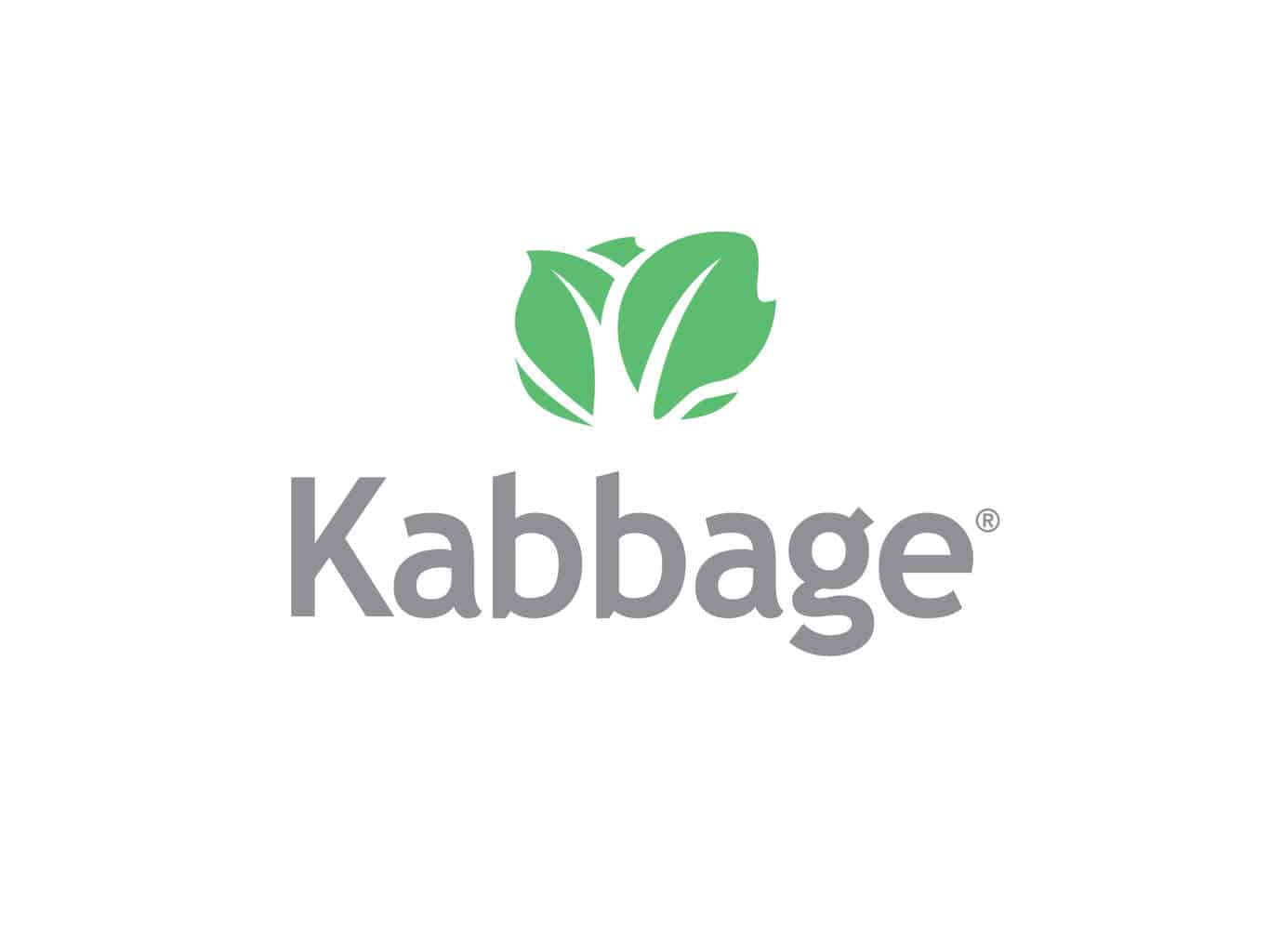 Kabbage Review - READ...