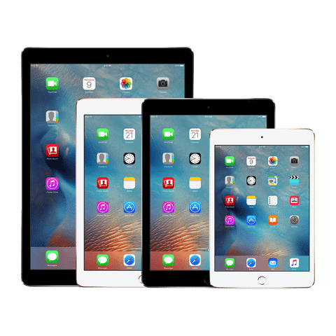 Apple Inc (AAPL) iPad